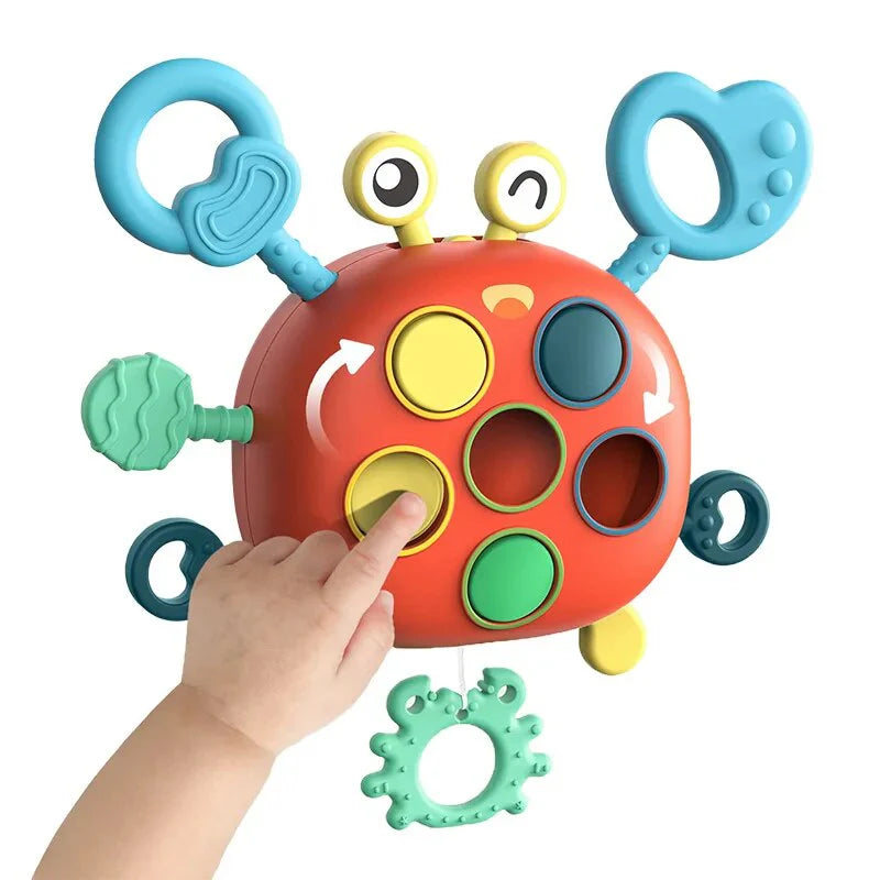 Colourful Crab Toy