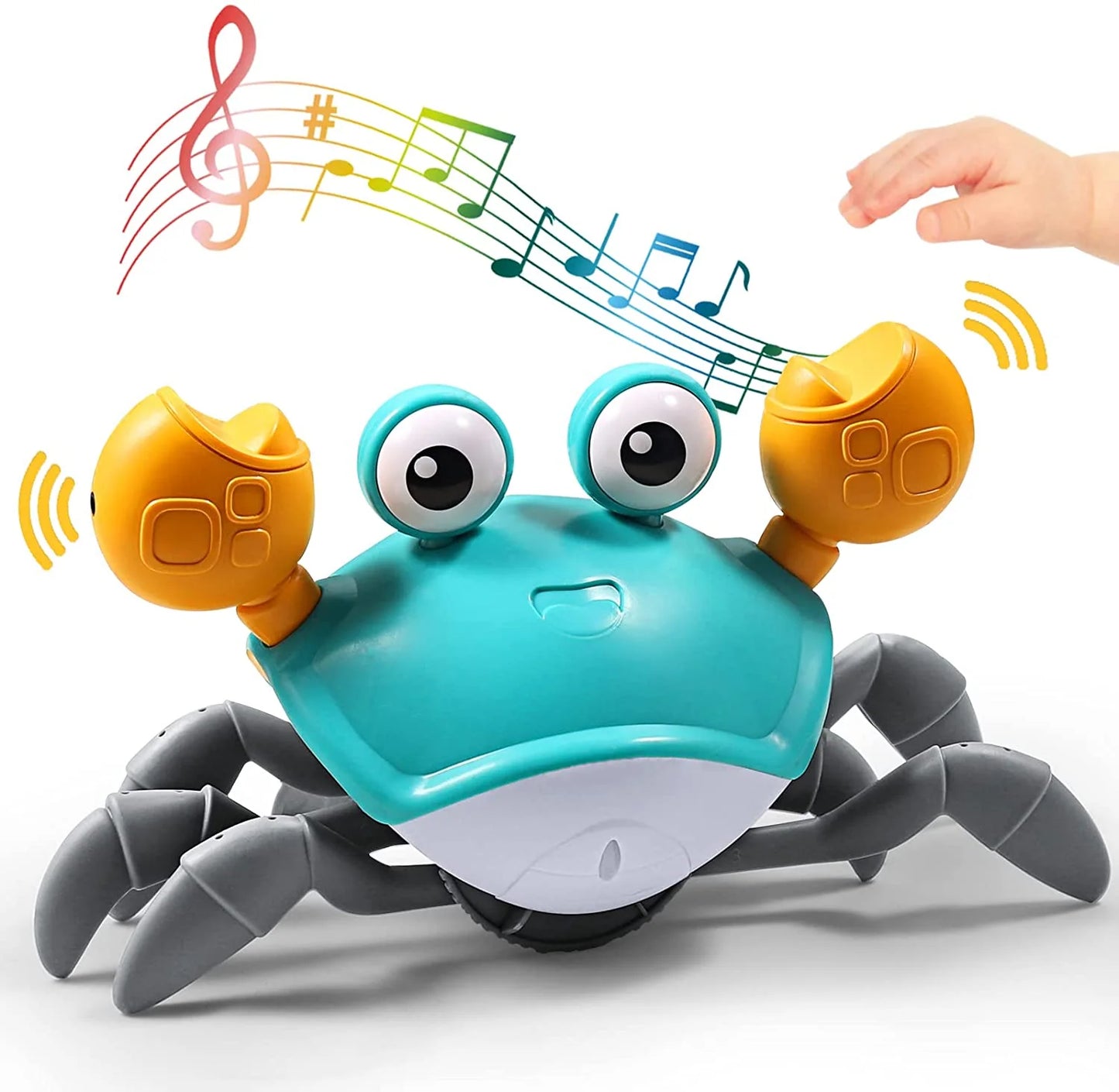 Crab Racer – Encourages Your Child to Crawl – Interactive Toy