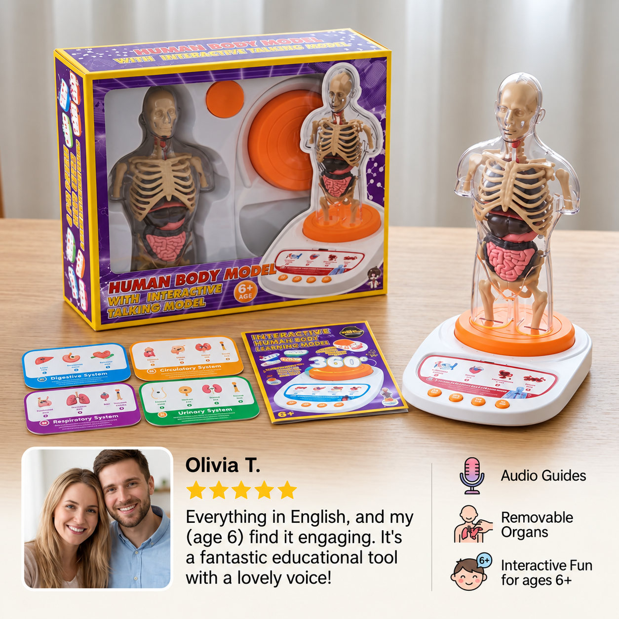 Interactive Talking Anatomy Model with Removable Organs & Audio-Guided Learning